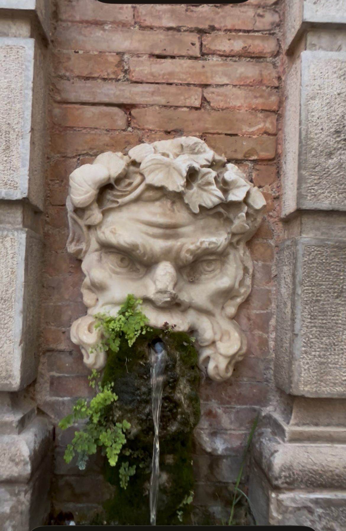 Fontanella