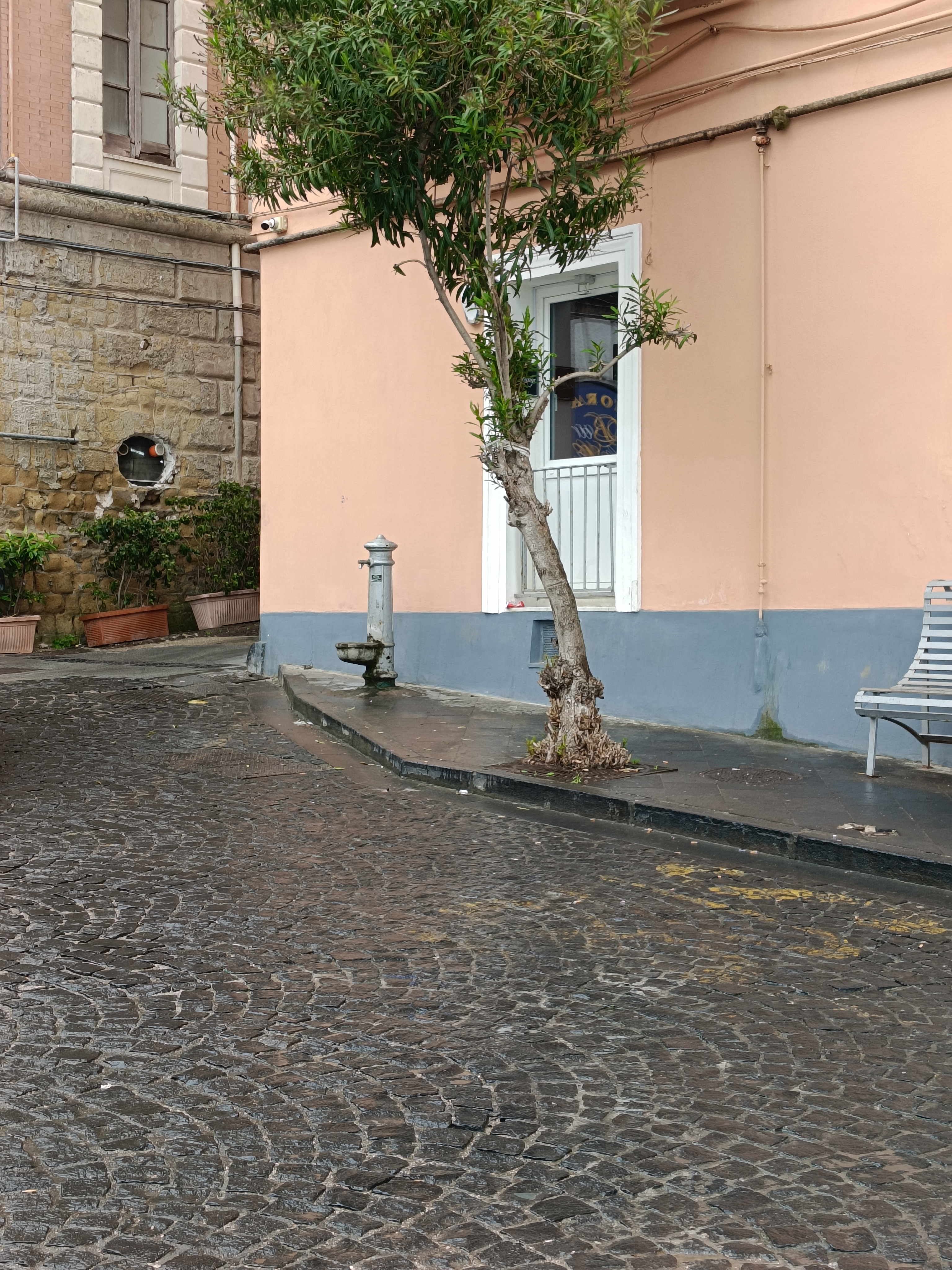 Fontanella