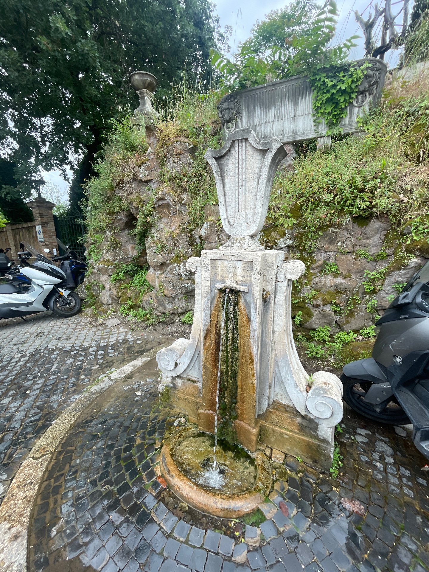 Fontanella