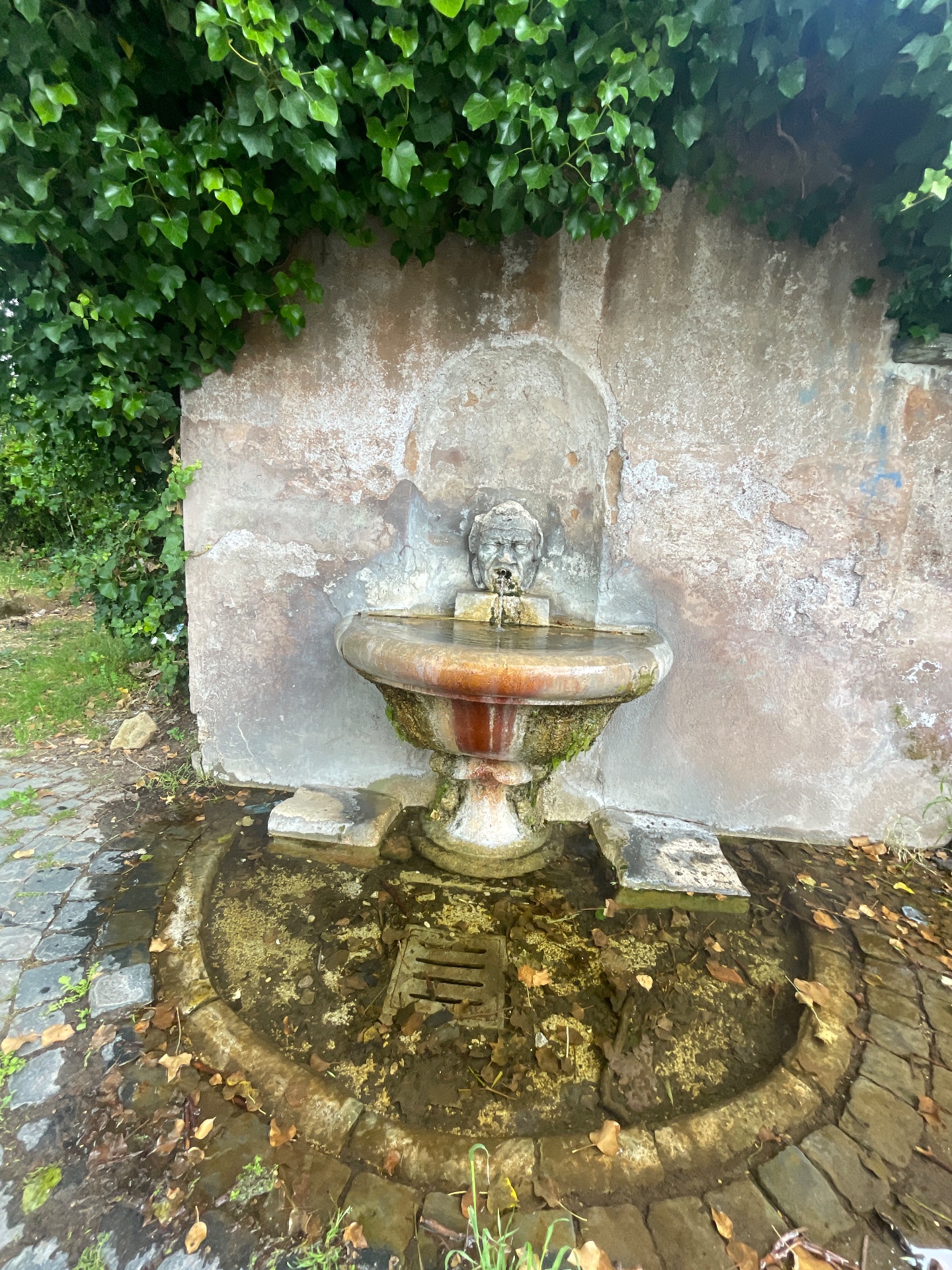 Fontanella