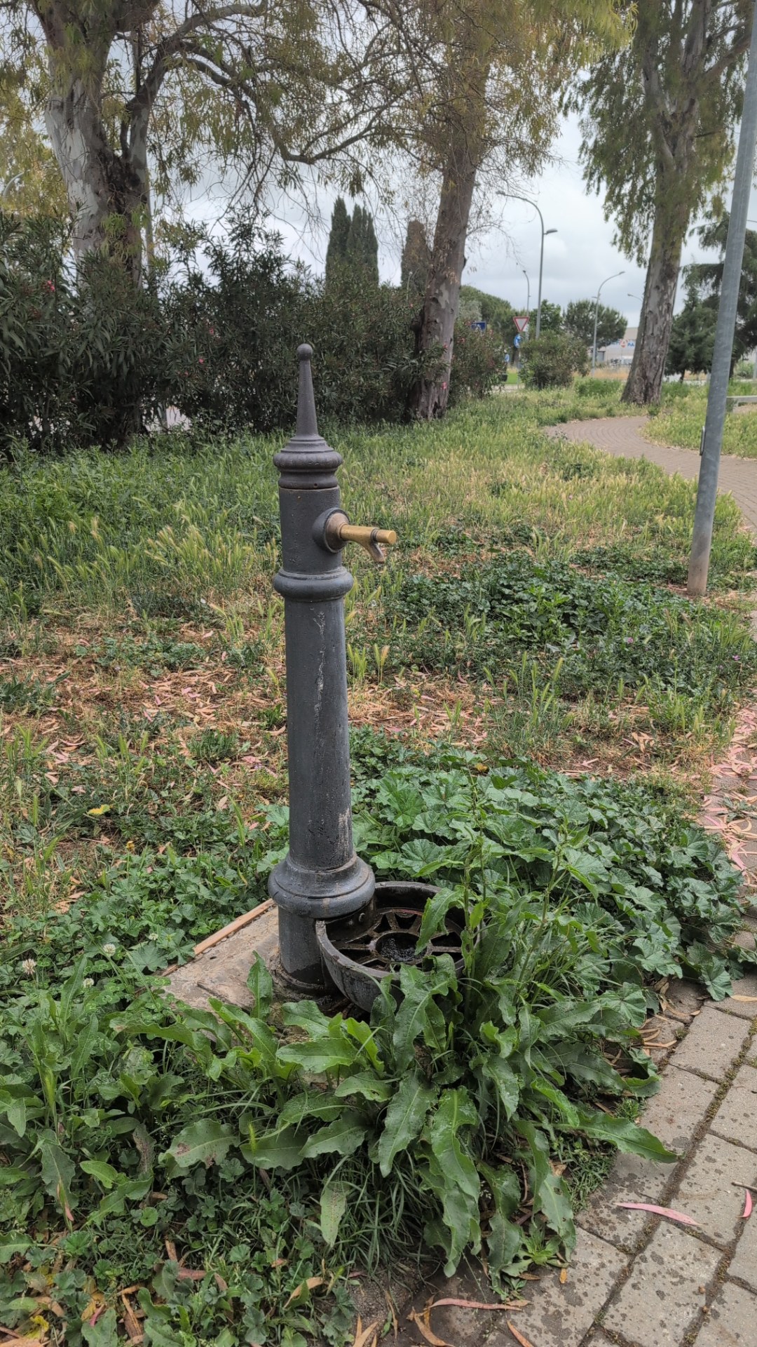 Fontanella