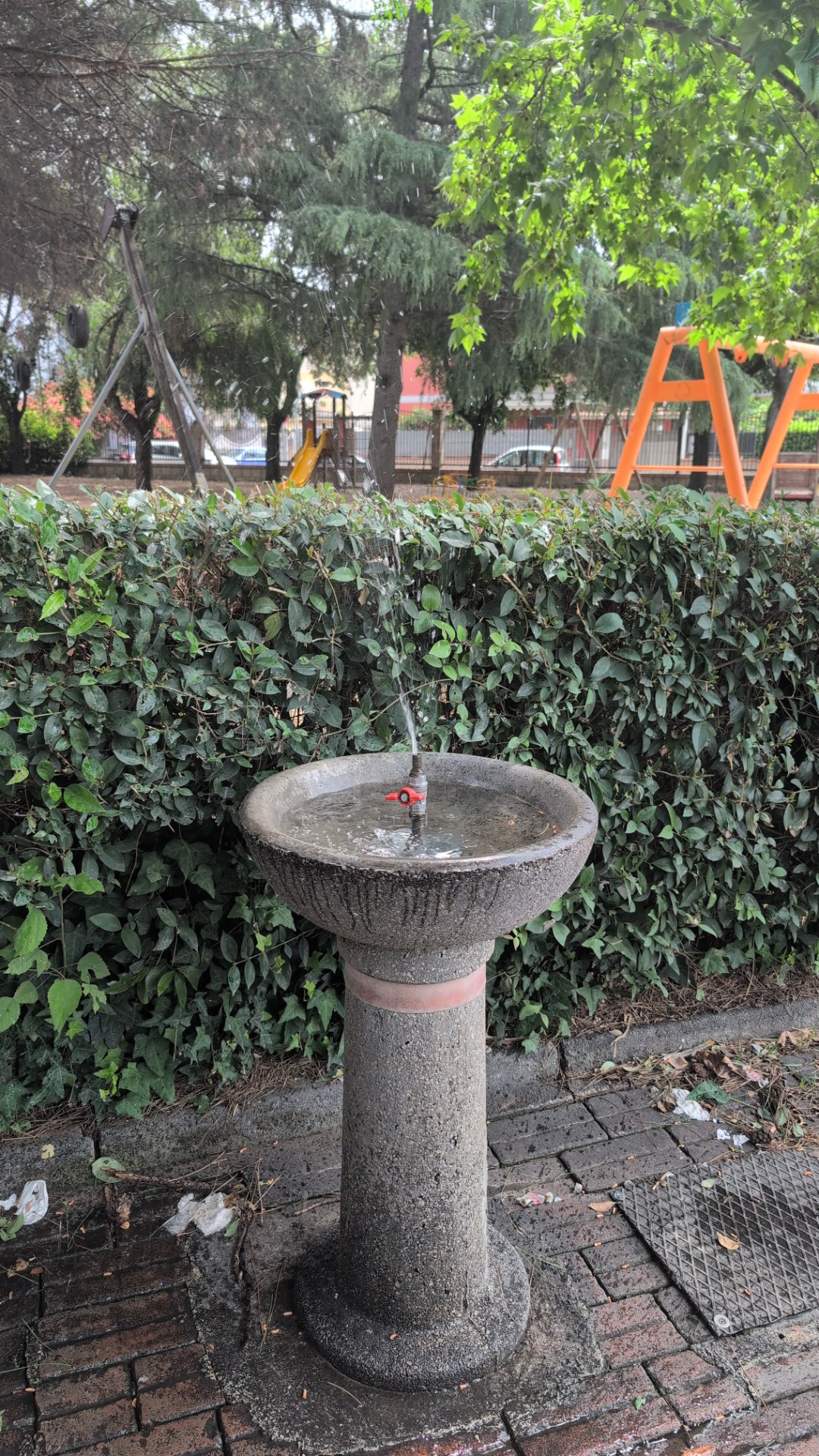 Fontanella