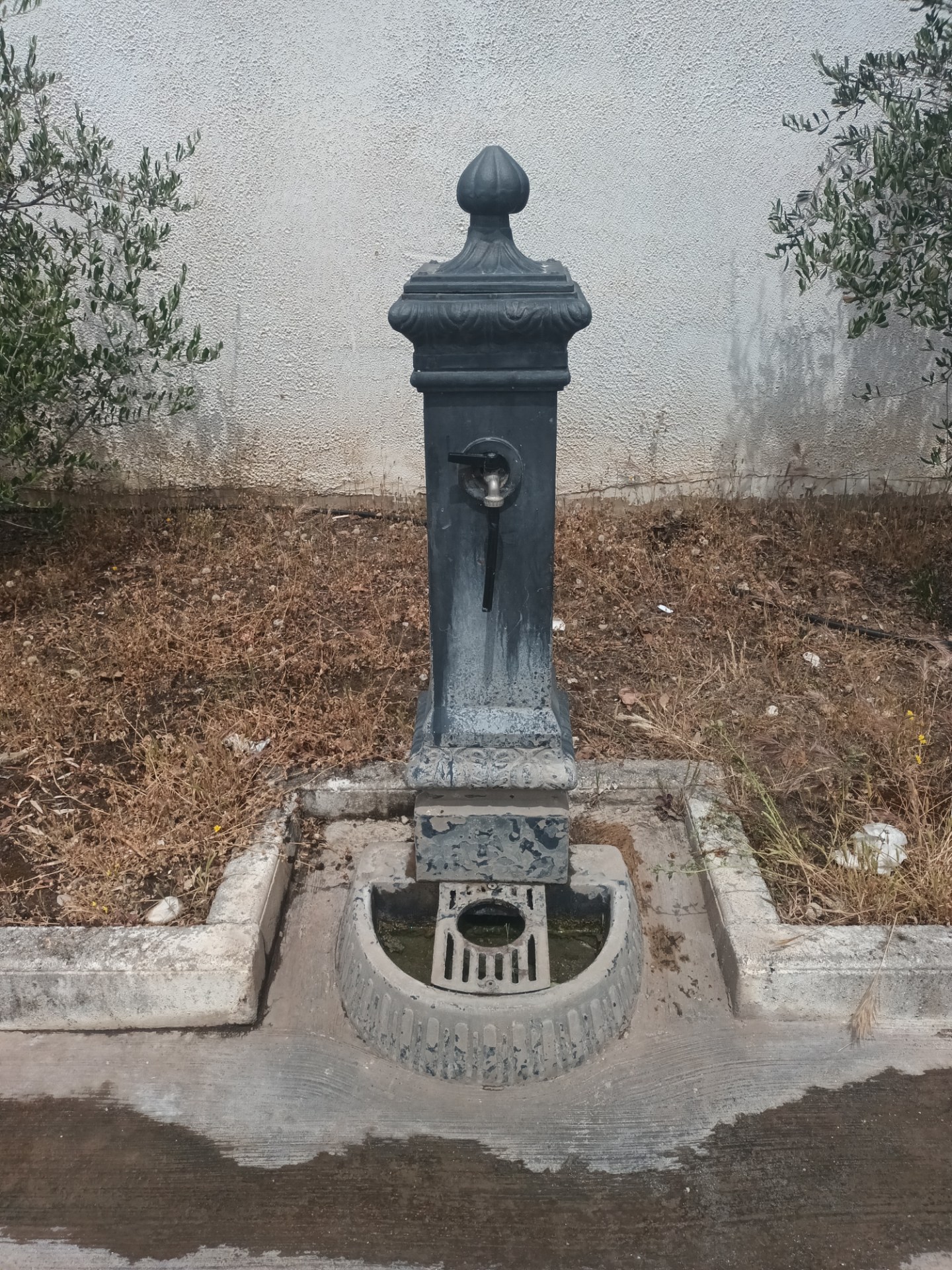 Fontanella