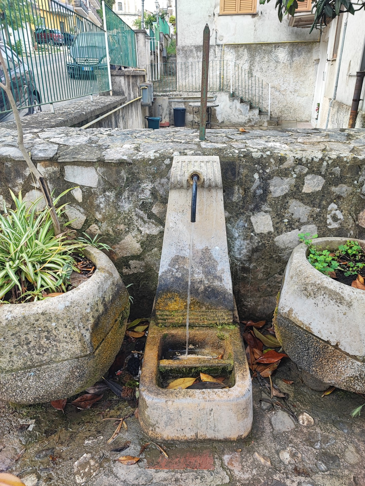 Fontanella