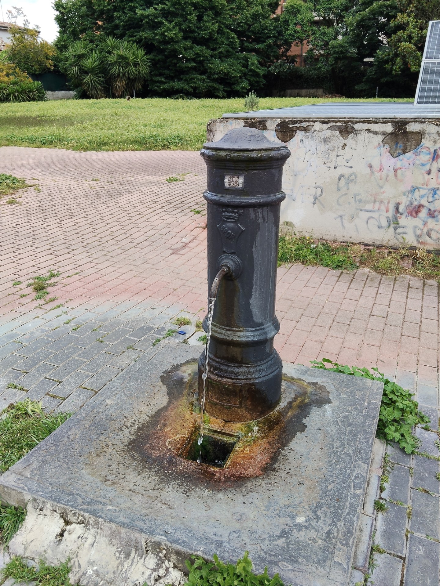 Fontanella