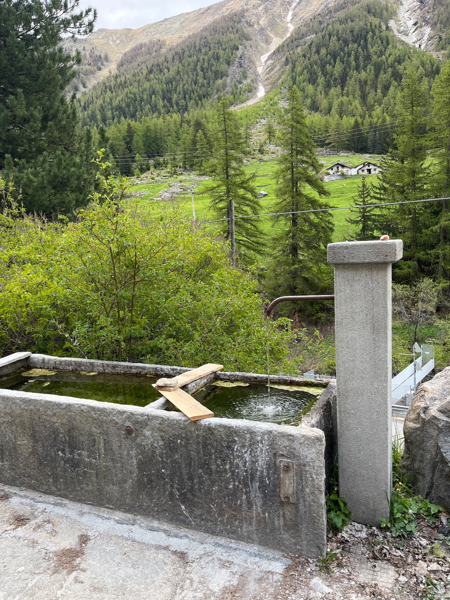 Fontanella