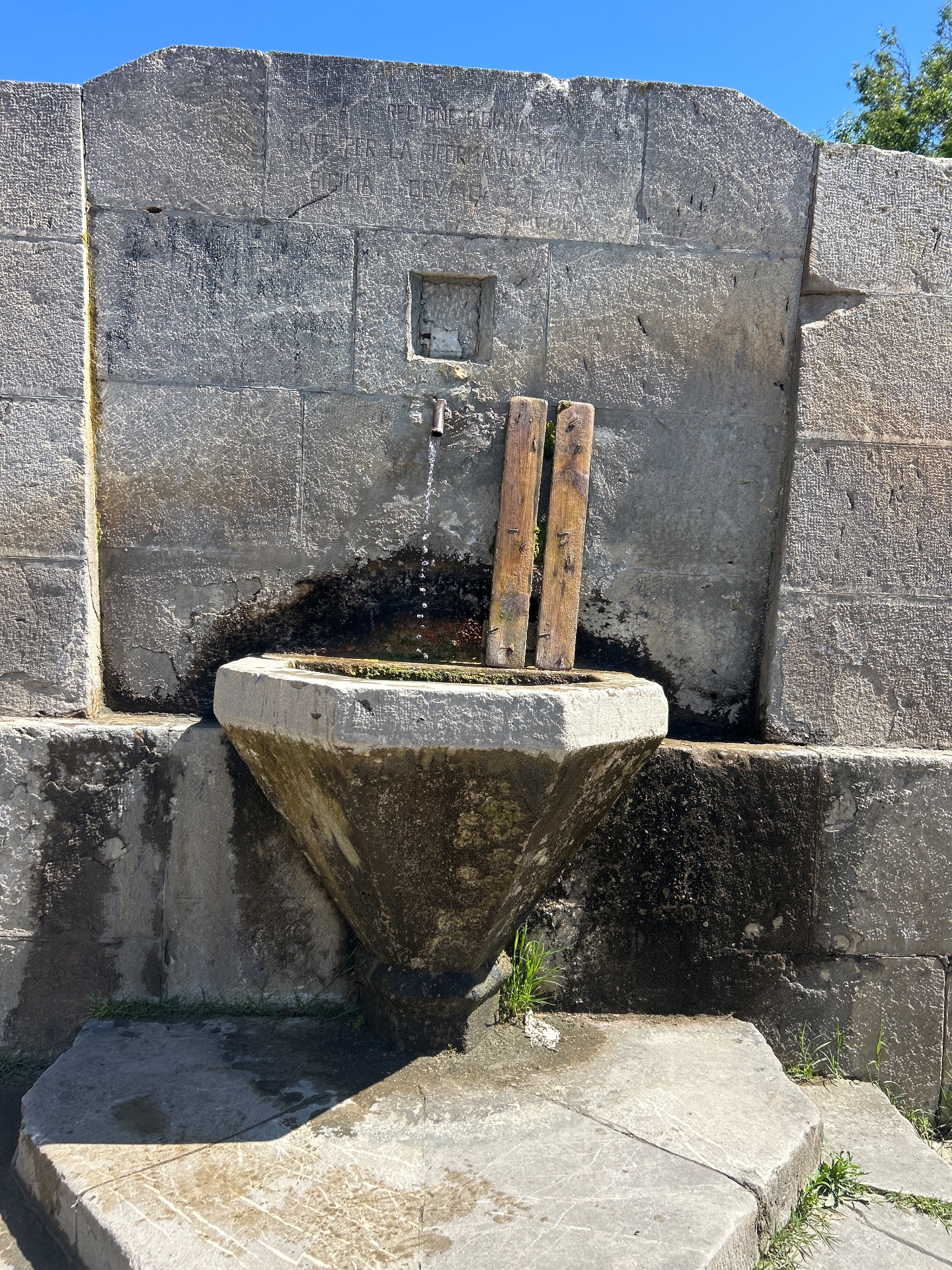 Sorgente