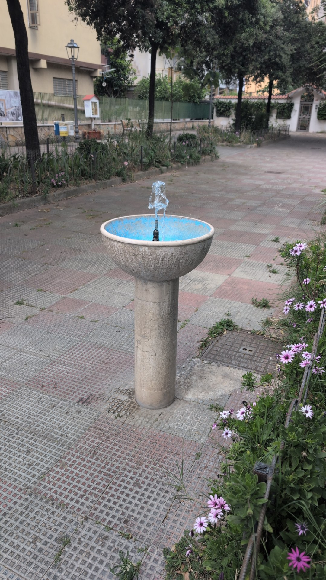 Fontanella