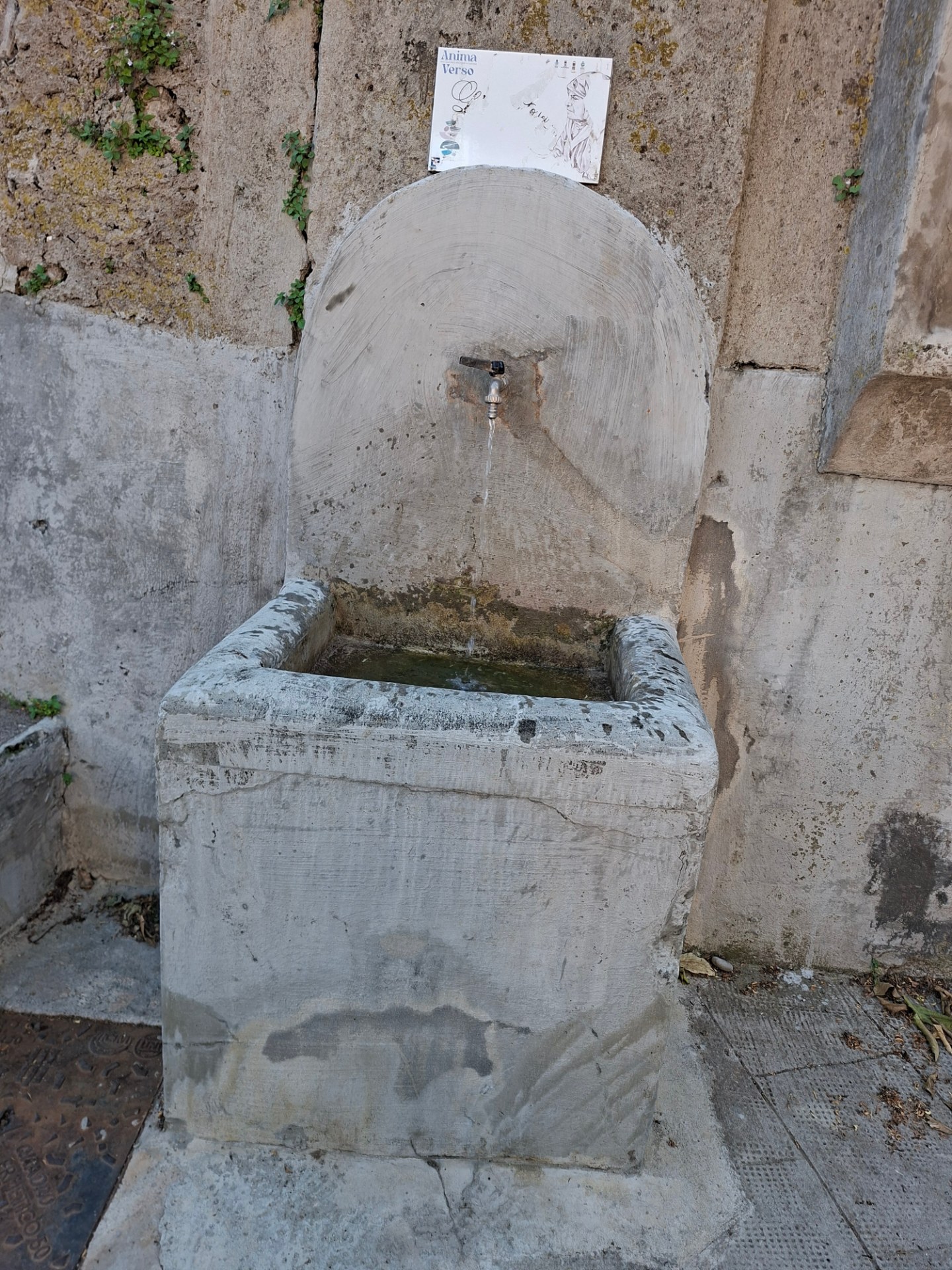 Fontanella