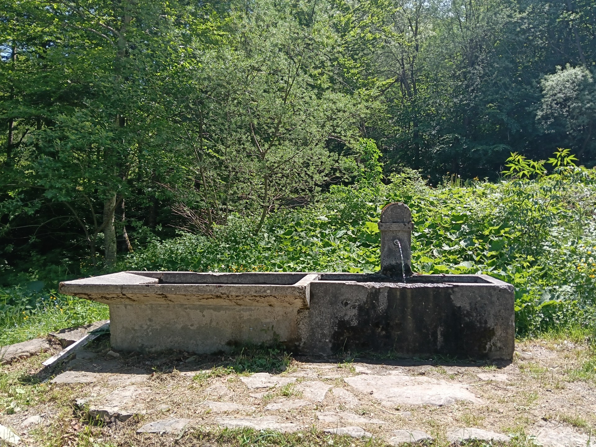 Fontanella