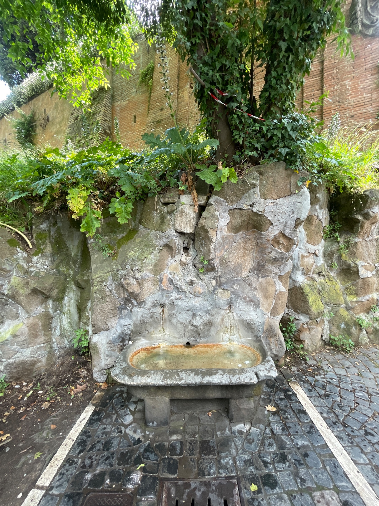 Fontanella