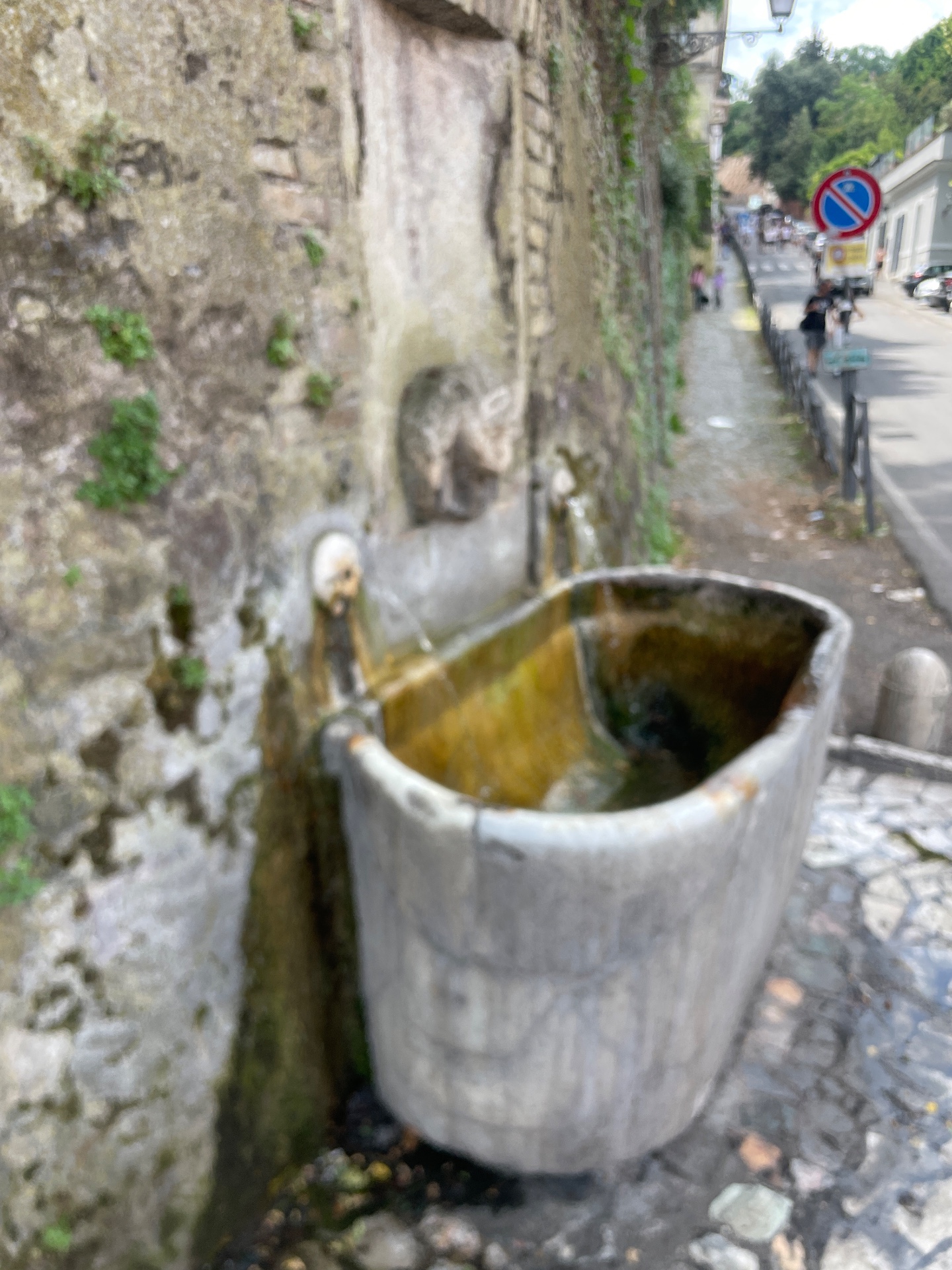 Fontanella