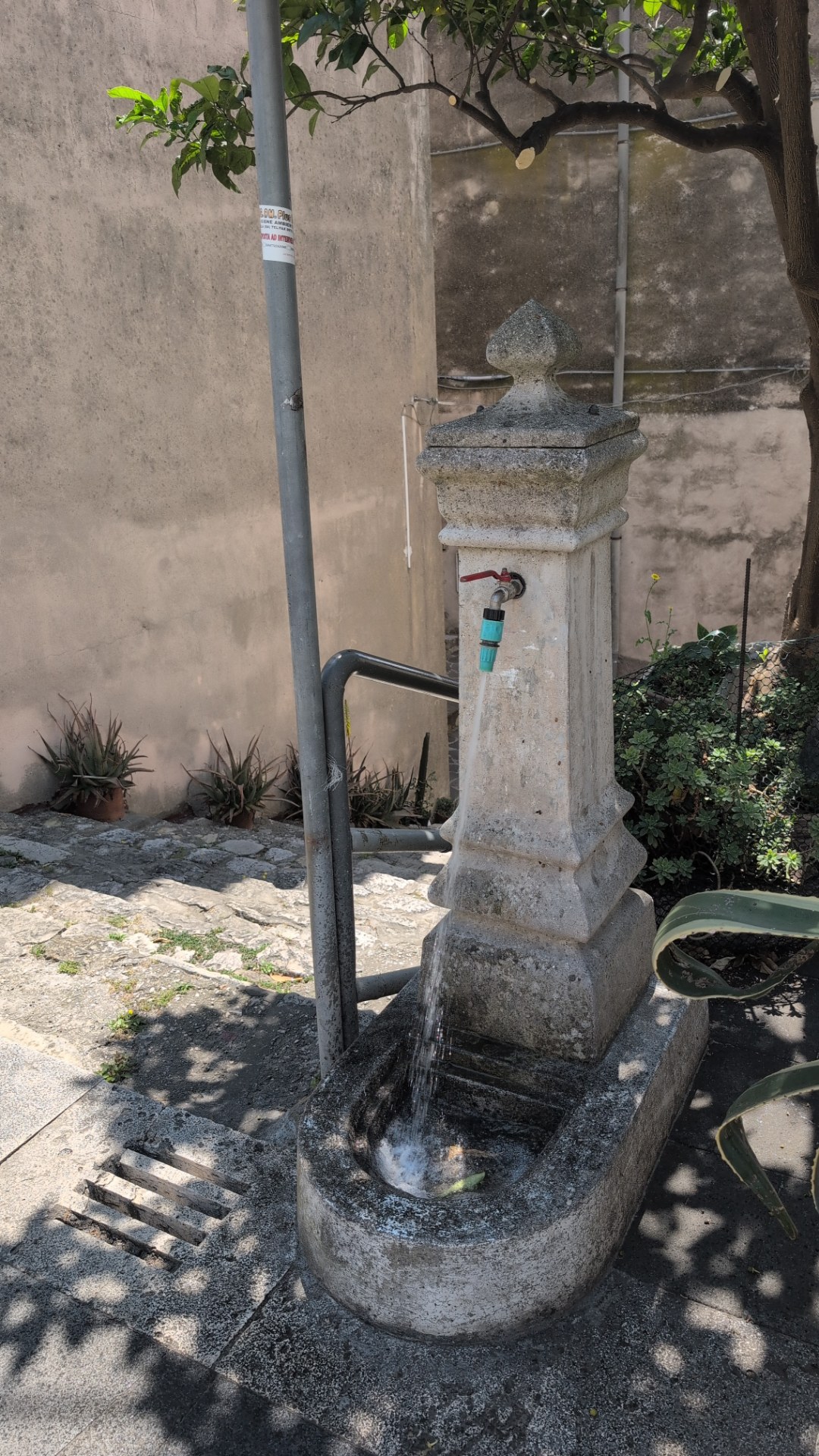 Fontanella