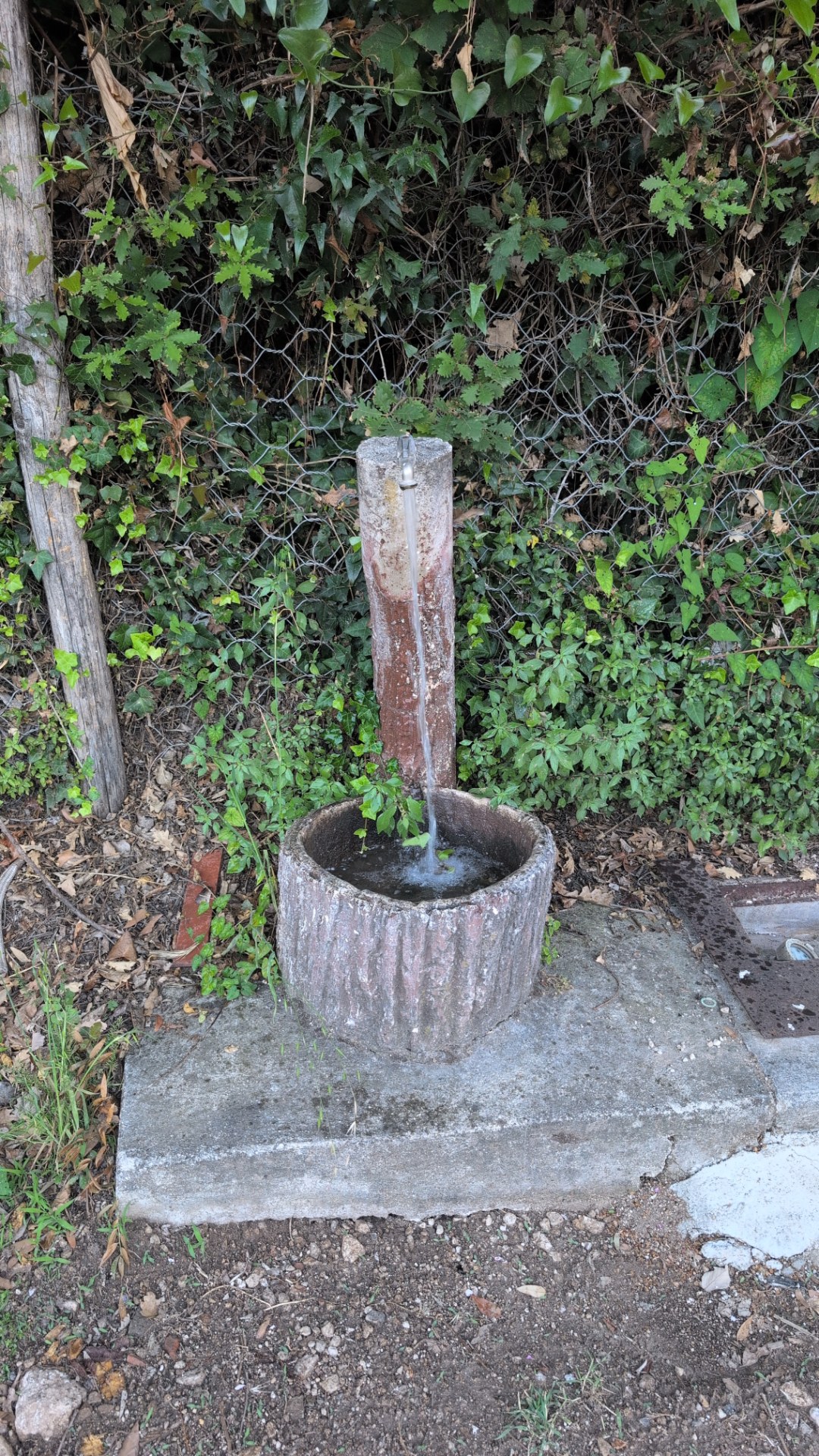 Fontanella