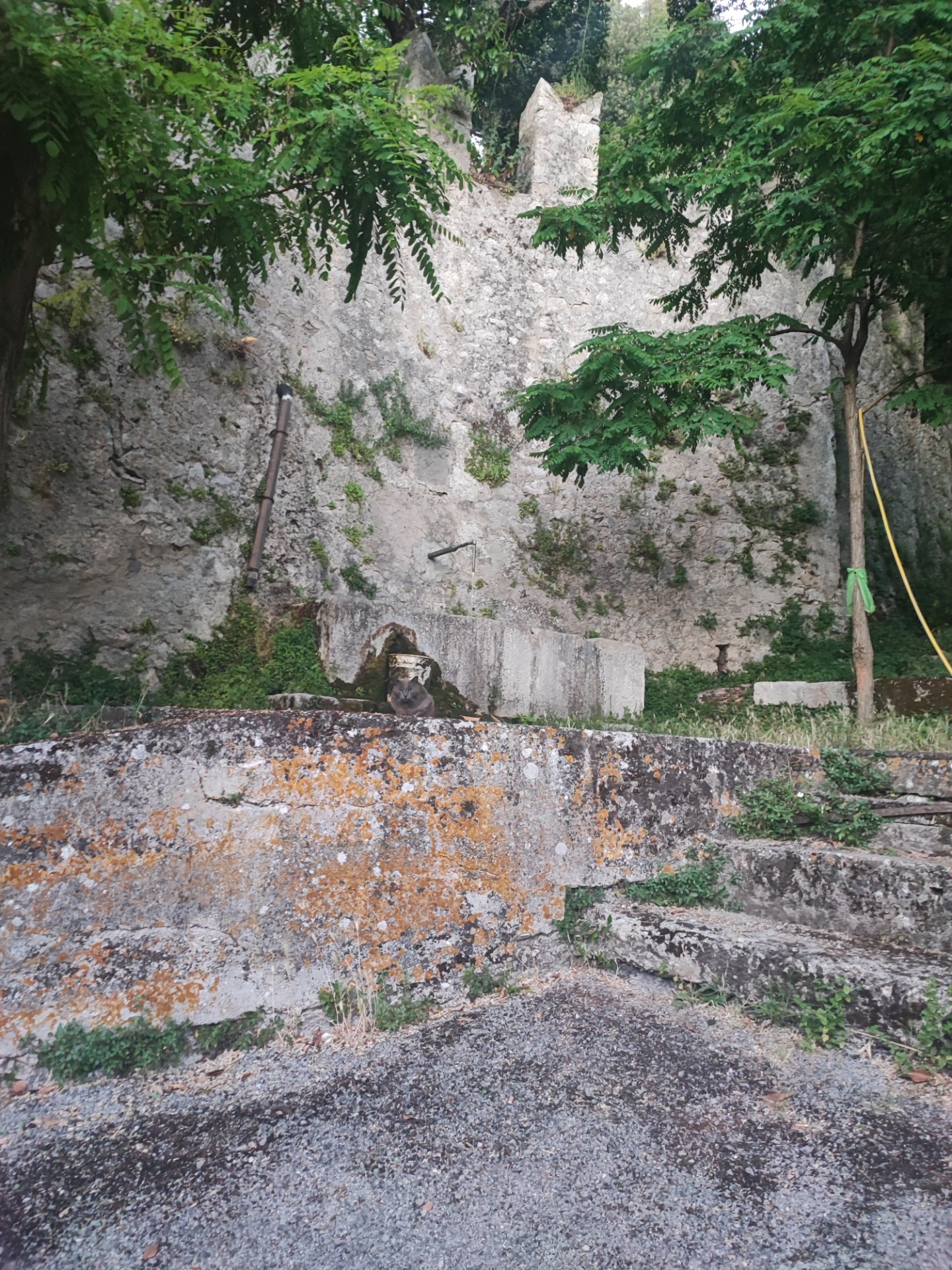Sorgente