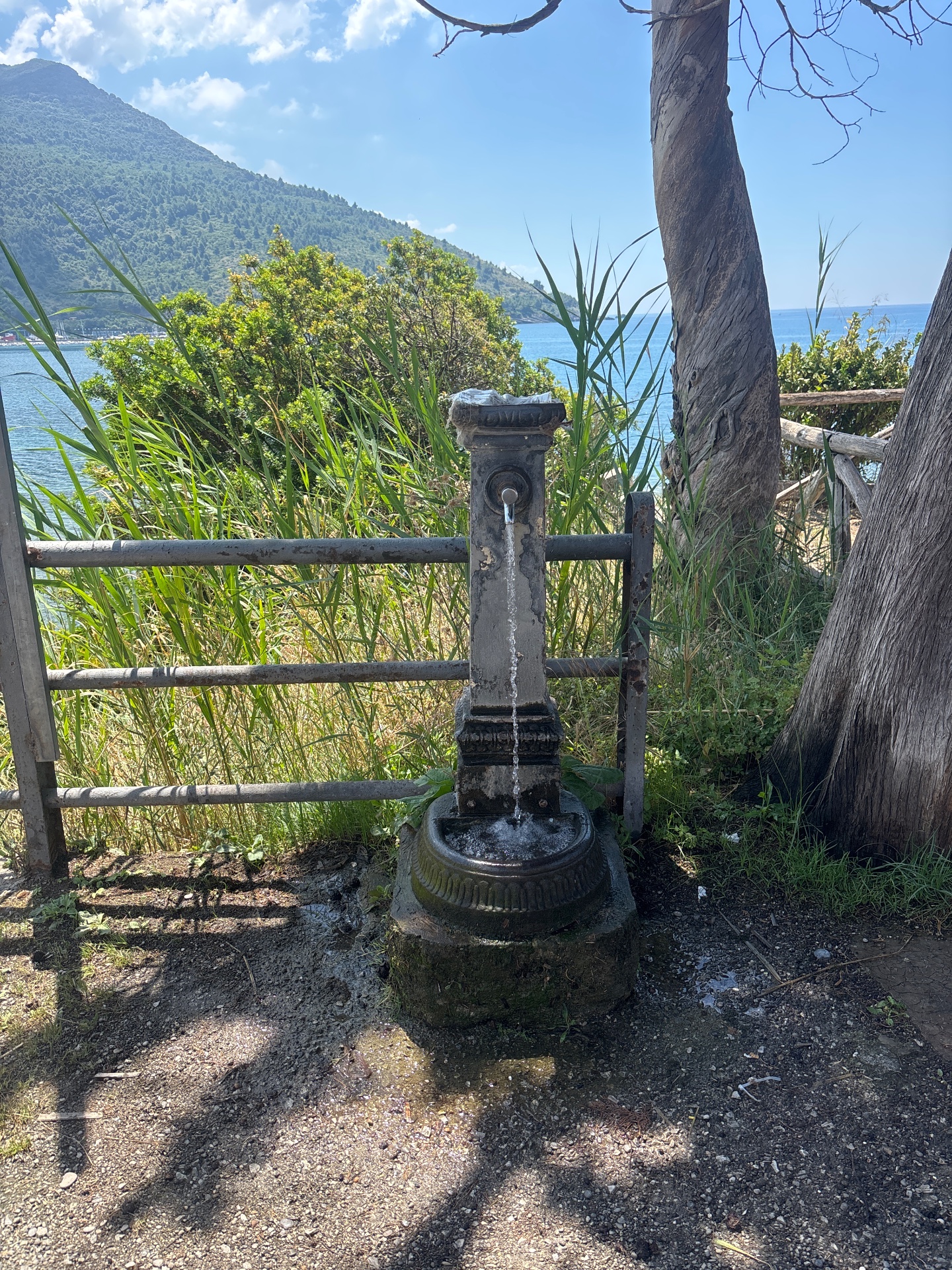 Fontanella