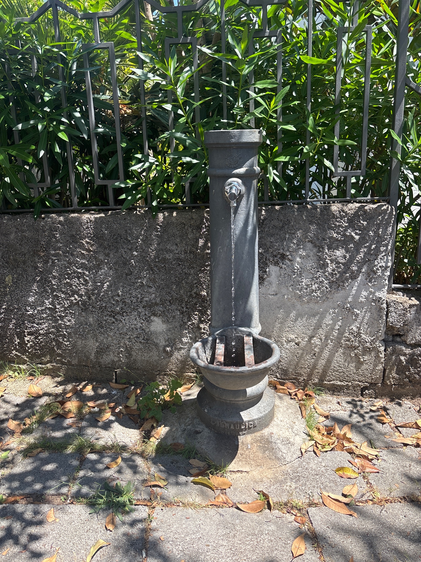 Fontanella