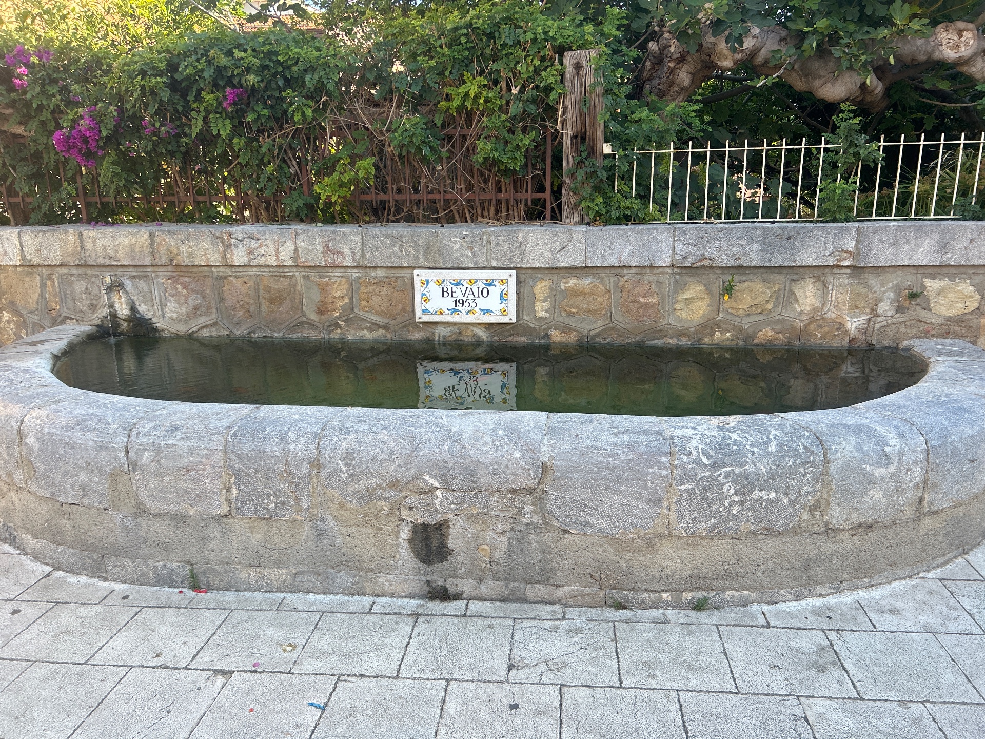 Sorgente