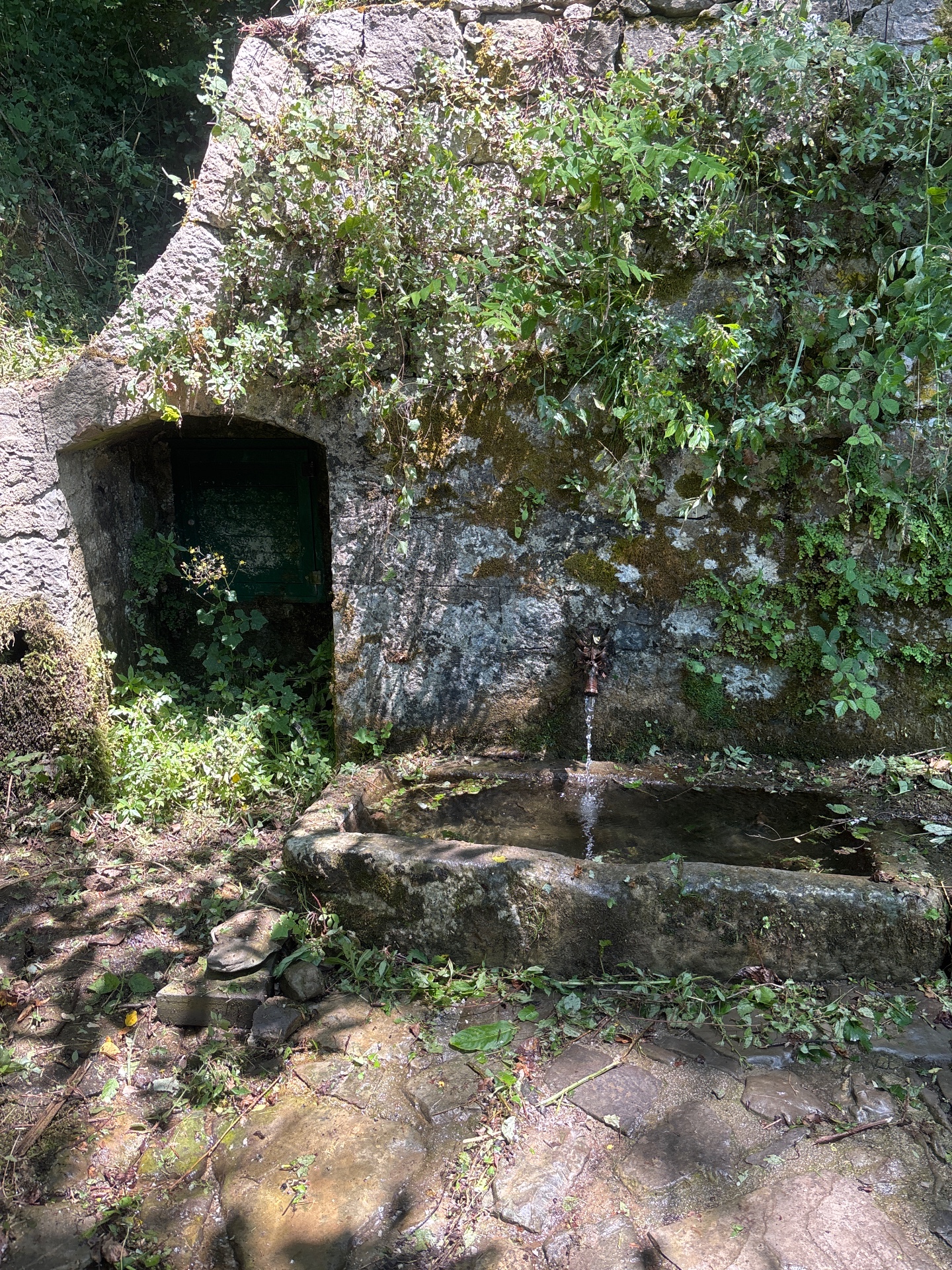 Sorgente