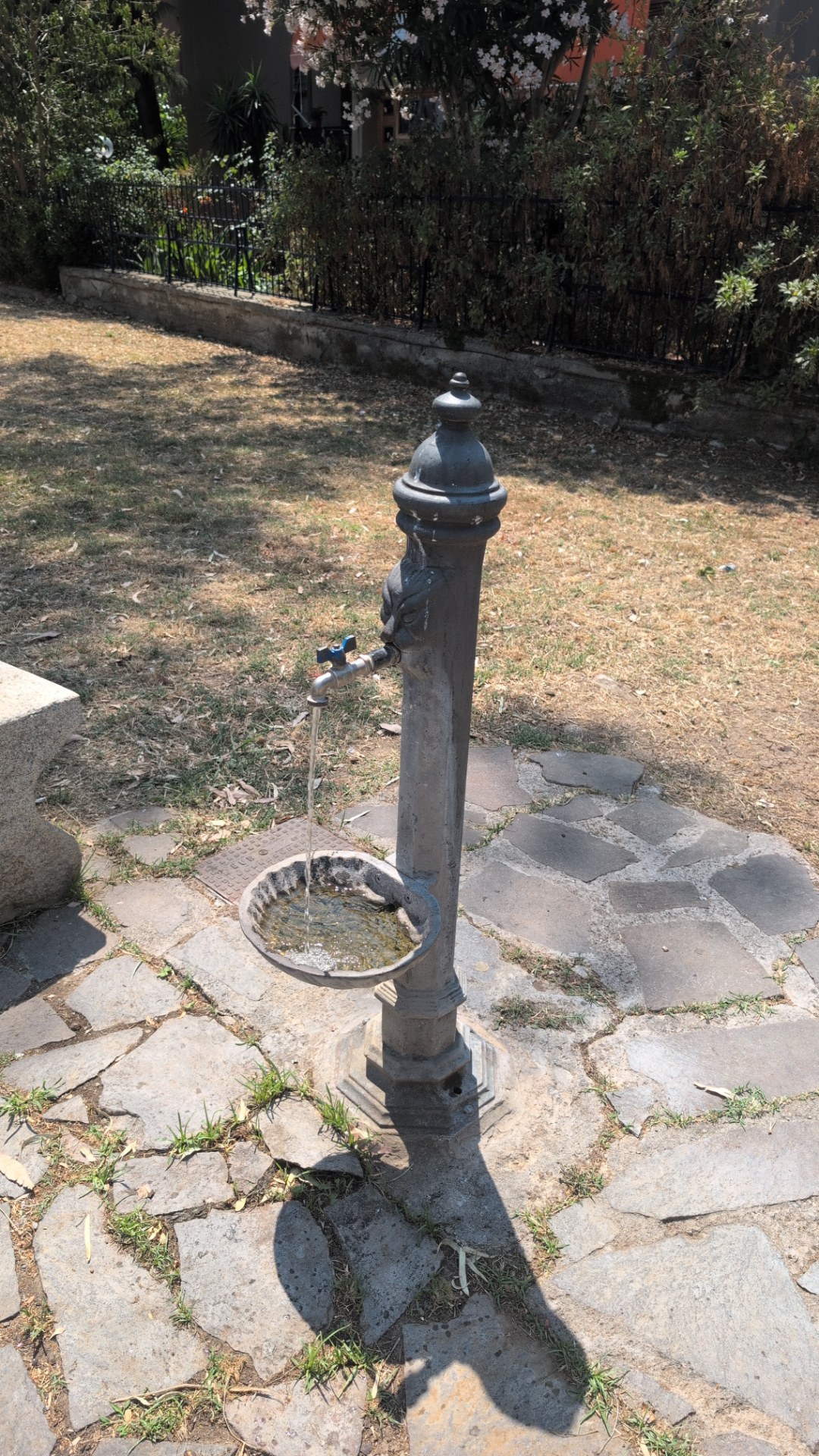 Fontanella