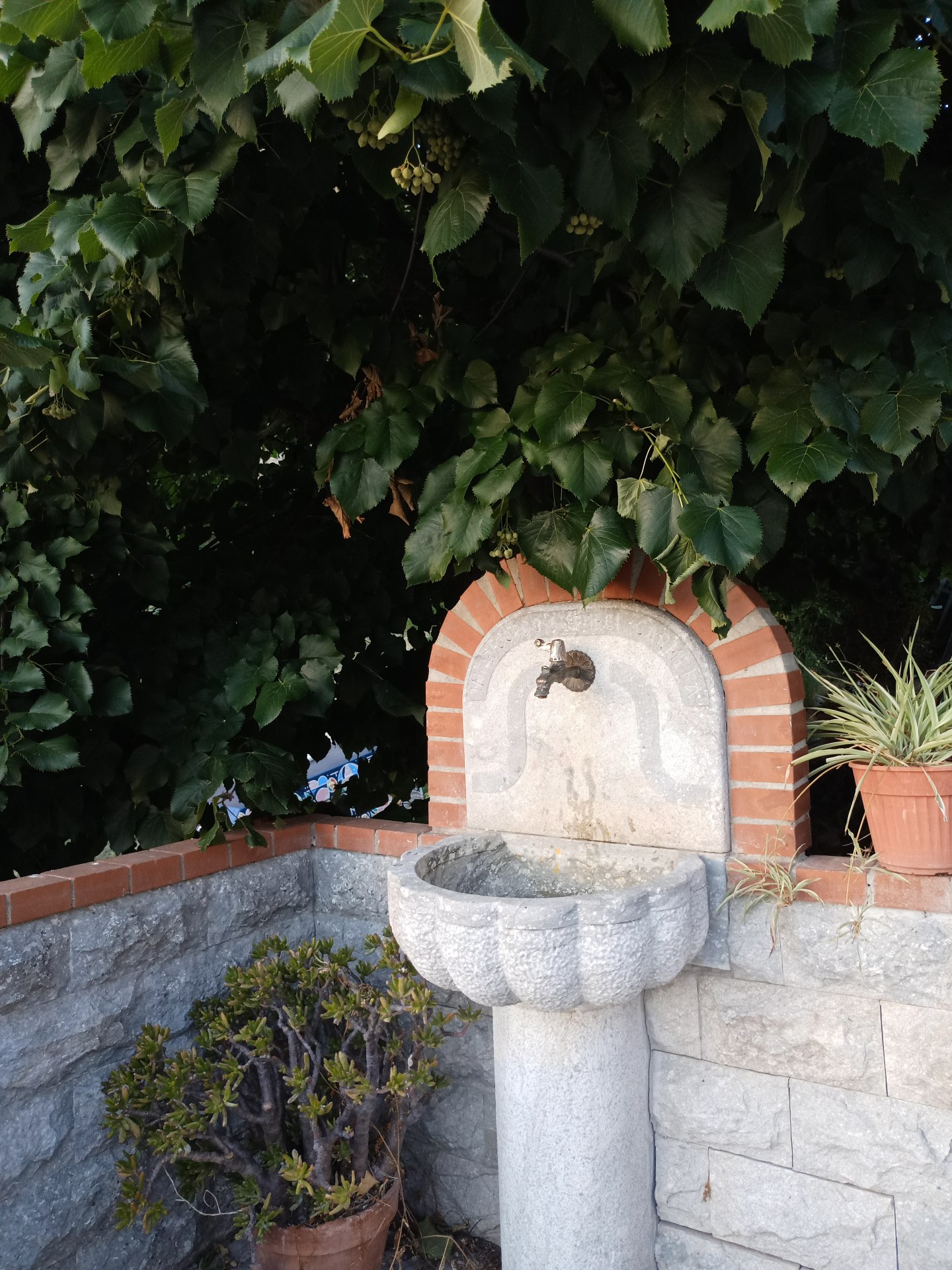 Fontanella