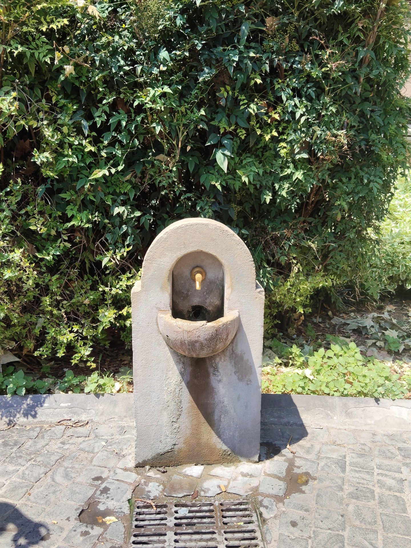Fontanella