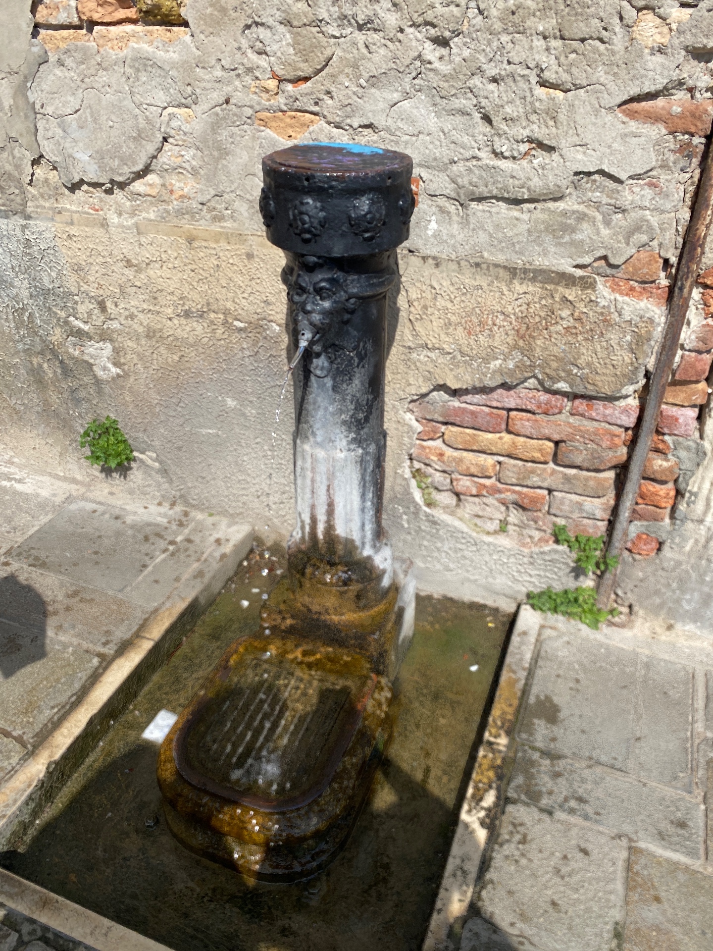 Fontanella