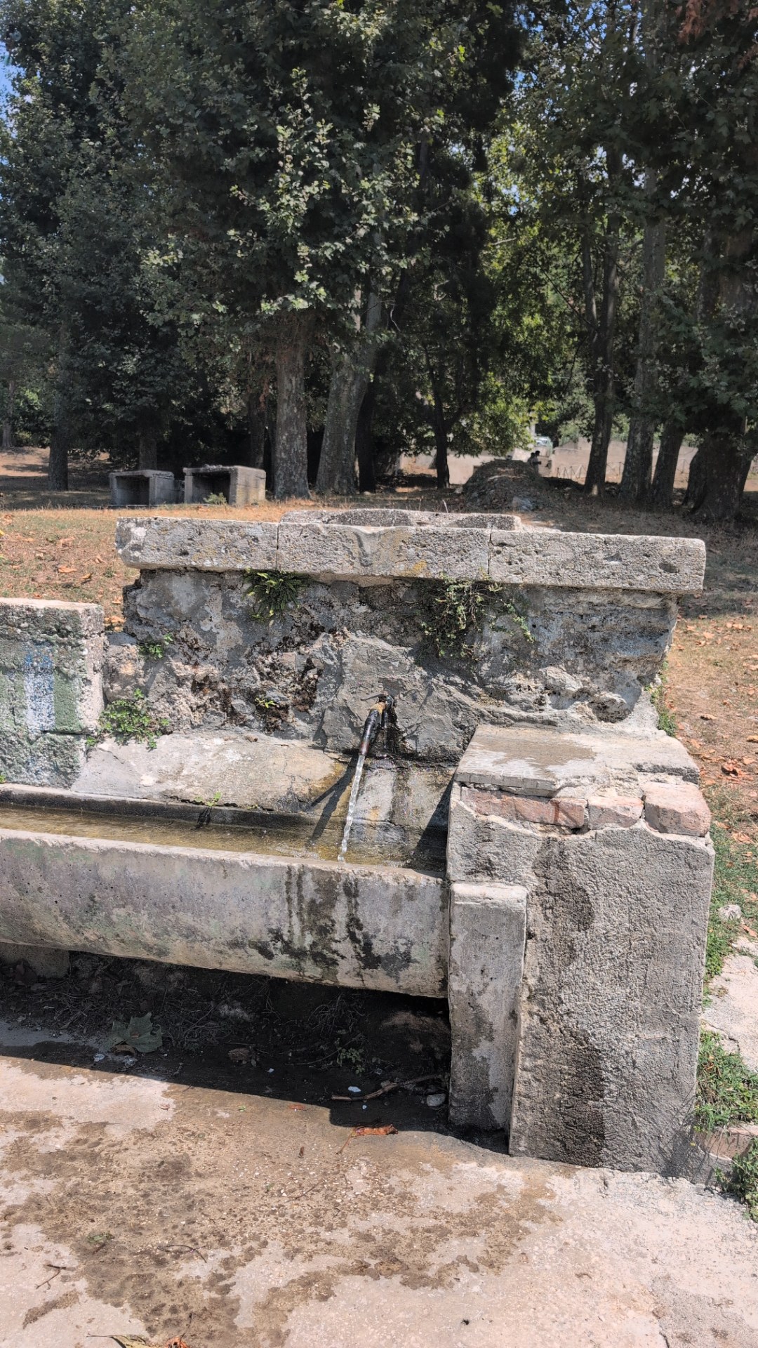Fontanella