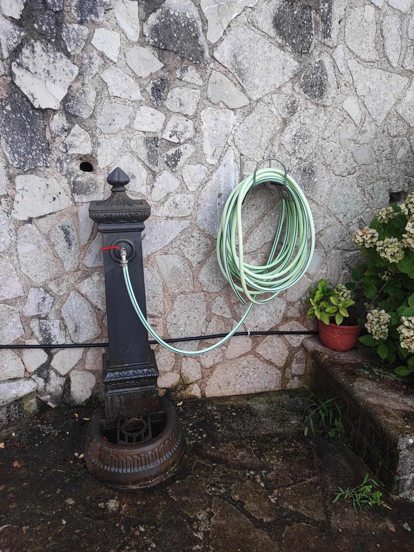 Fontanella