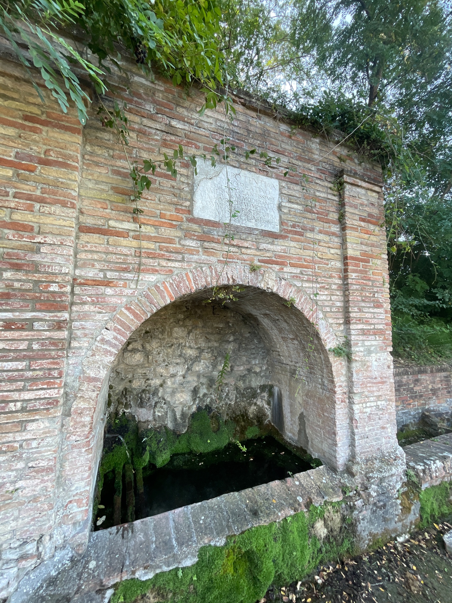 Fontanella