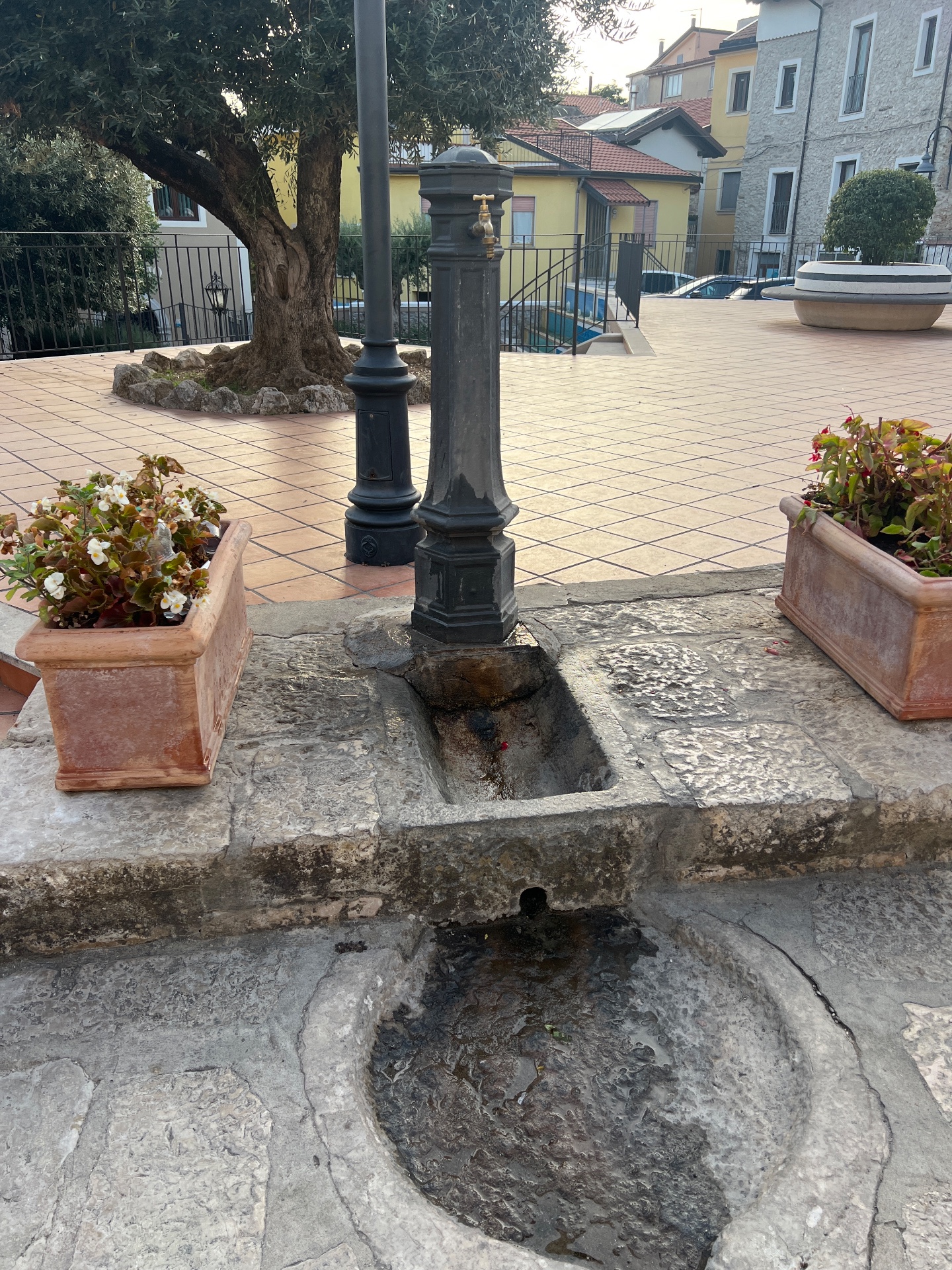Fontanella