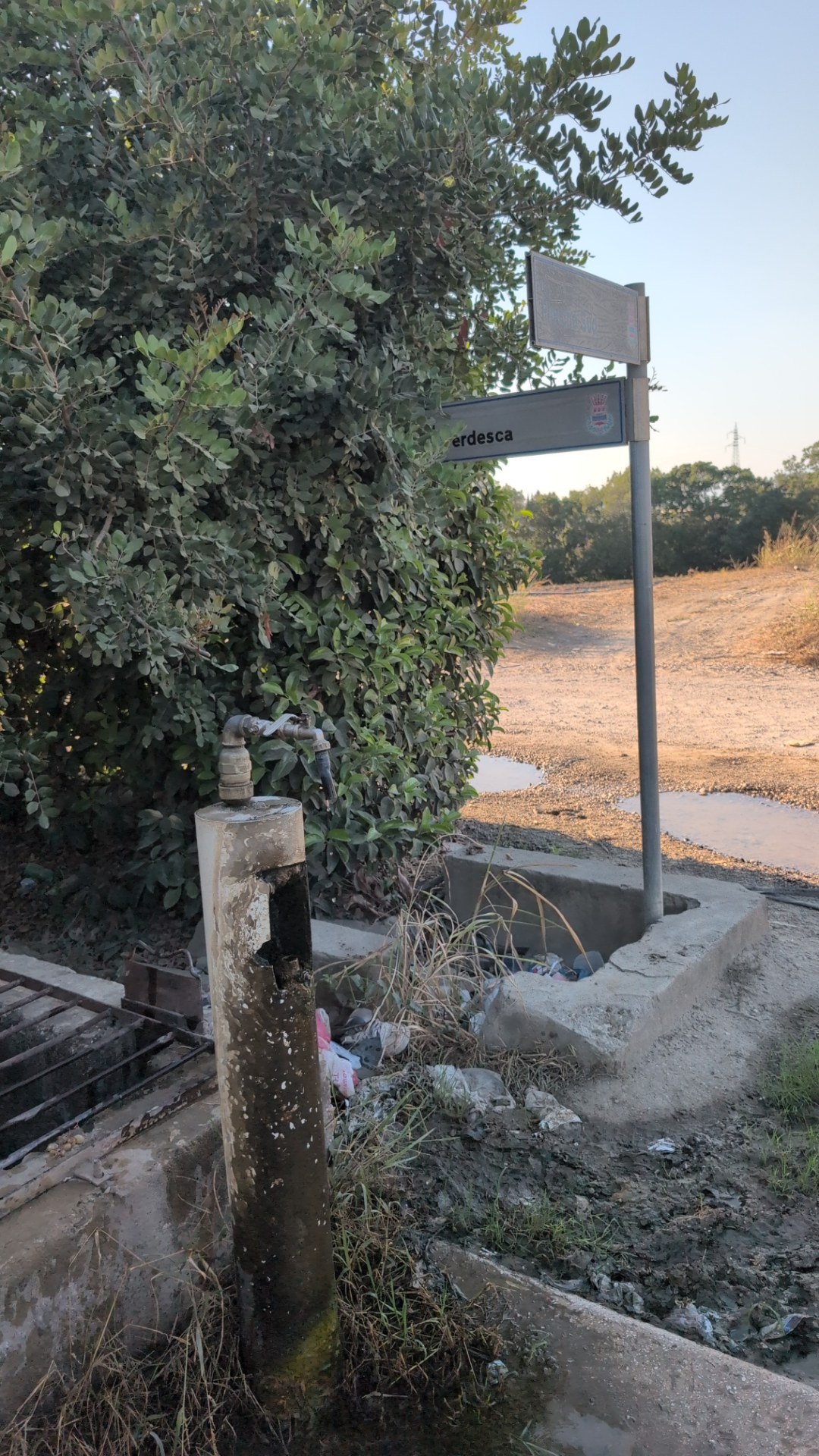 Fontanella