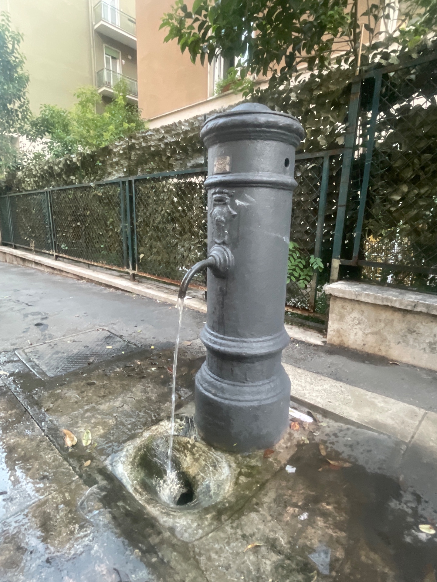 Fontanella