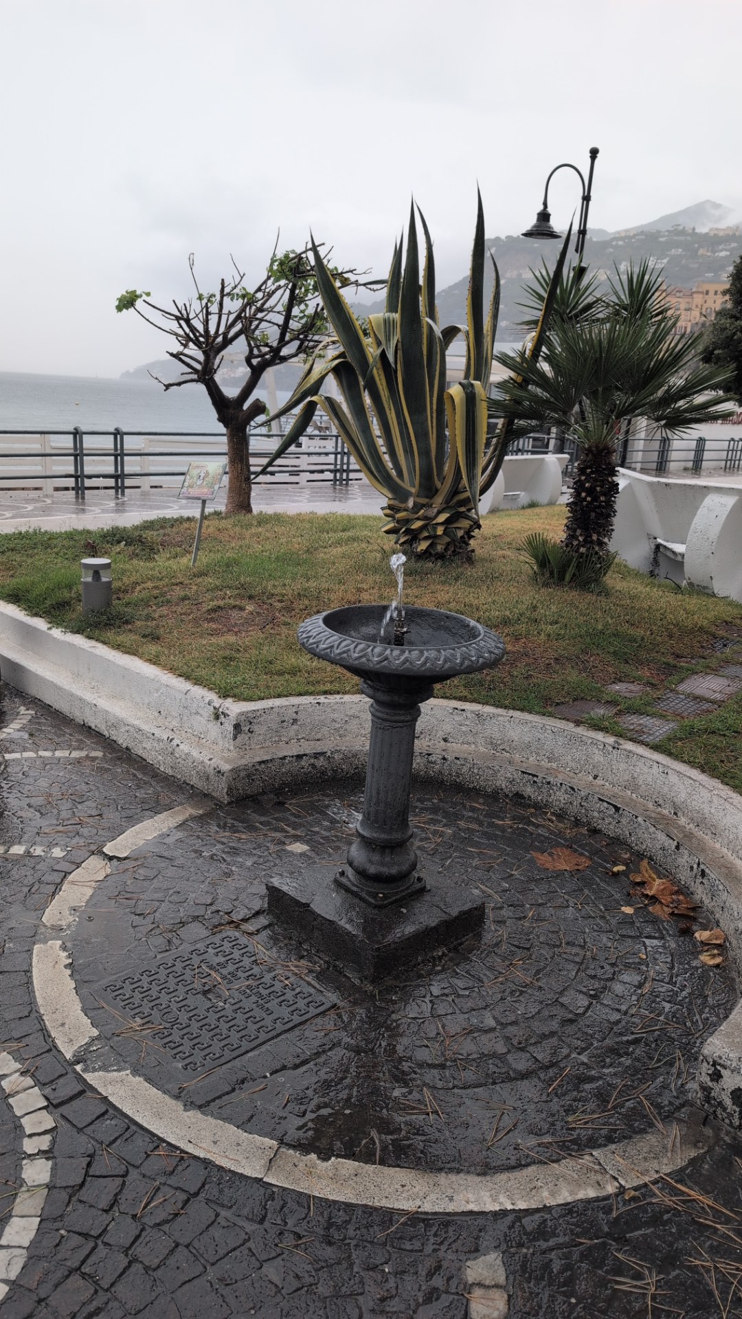 Fontanella