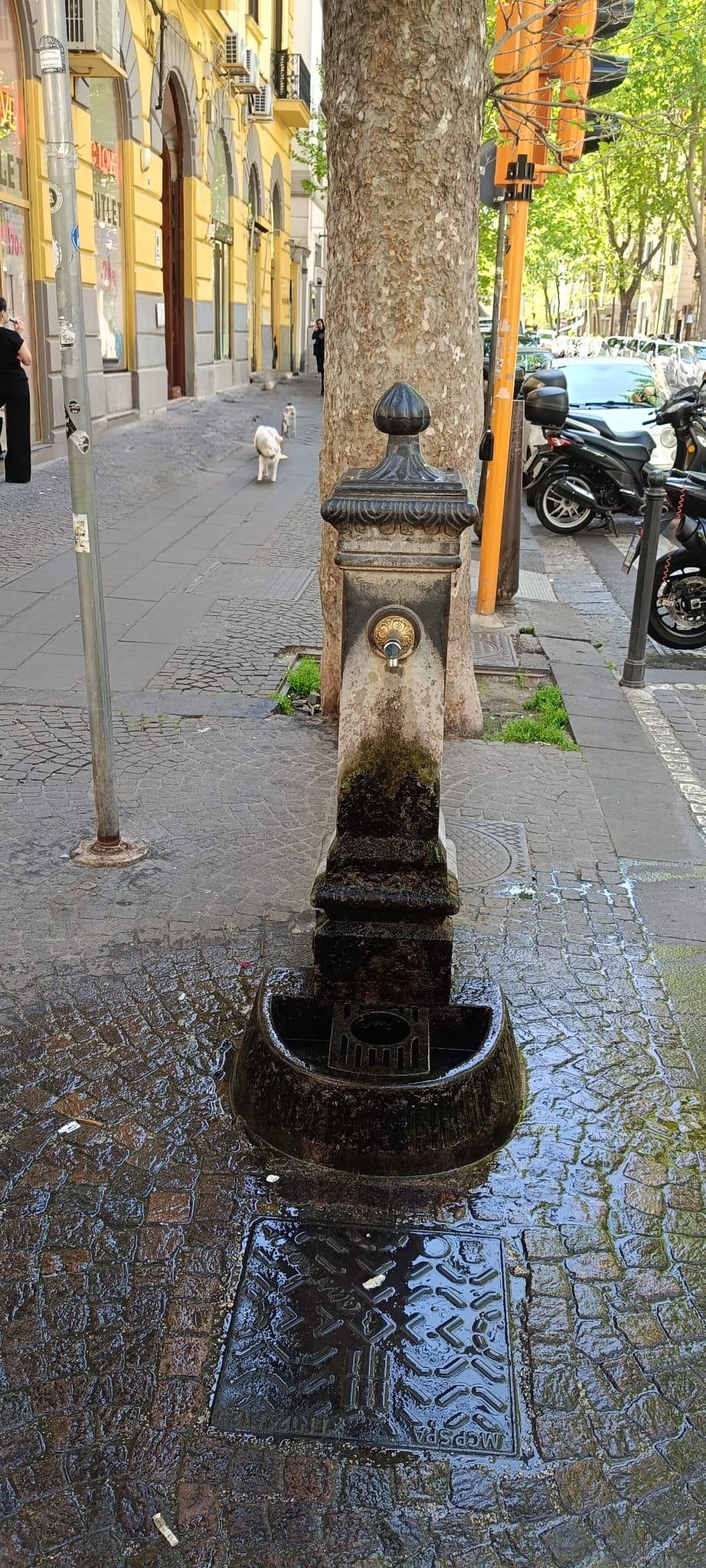 Fontanella