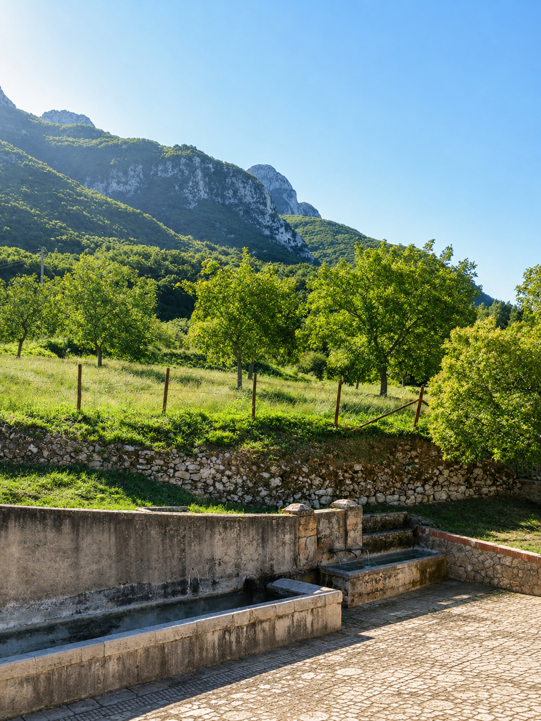 Fontanella
